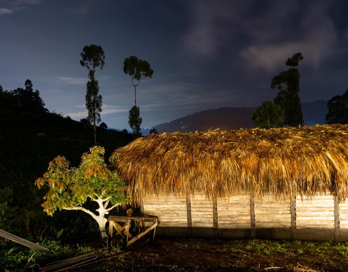 Eco Glamping El Silencio *