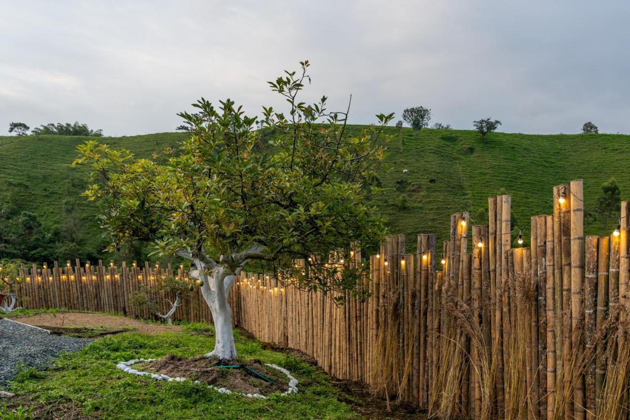 Eco Glamping El Silencio *