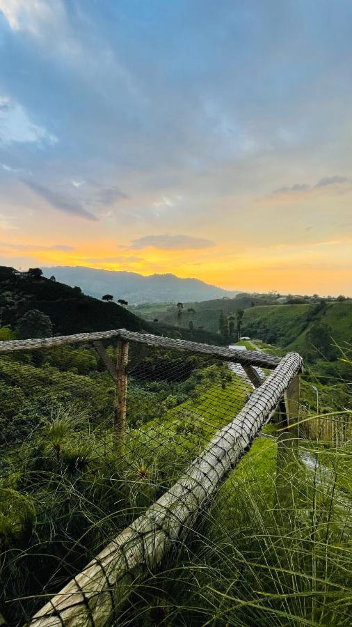 Eco Glamping El Silencio Campsite