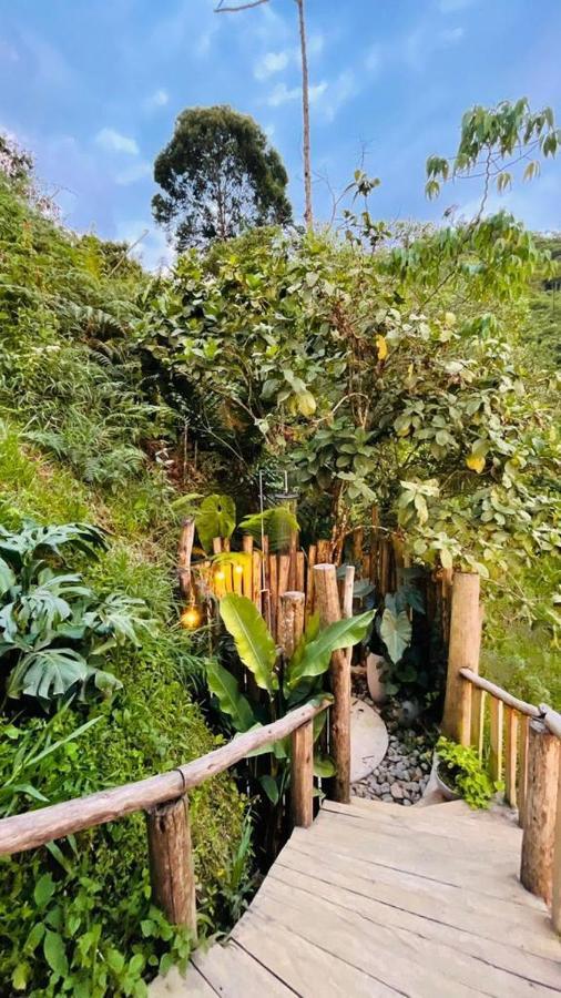Eco Glamping El Silencio Campsite *